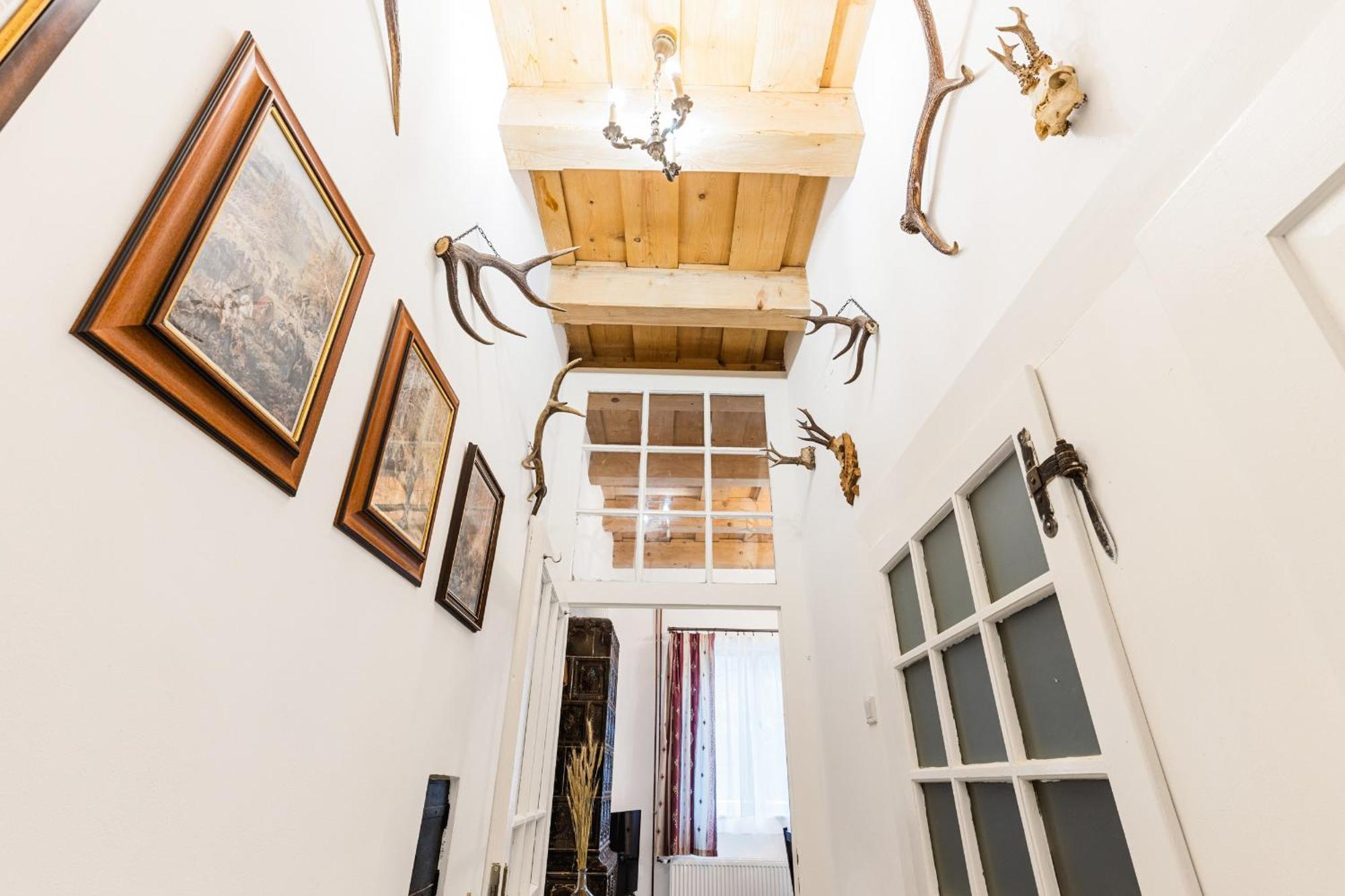 Sovi Dom- Historicke Apartmany Z 19 Storocia, 4Km Od Banskej Stiavnice Svätý Anton Buitenkant foto
